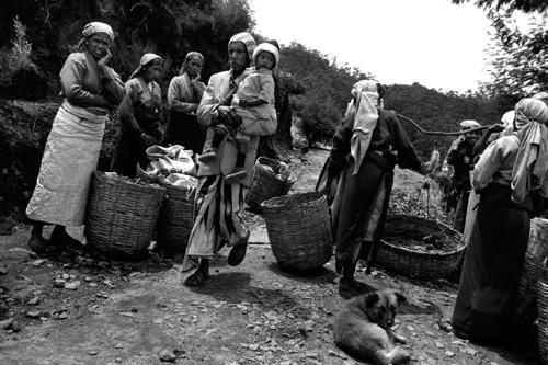 Le donne del tè a Nuwara Eliya