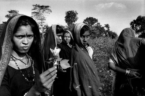 Donne braccianti nei campi di cotone presso Barwani-Maharashtra